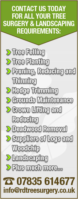 Contact R.D. Tree Surgery for all your Landscaping Requirements